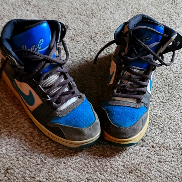 Nike Other - Nike dunks 6.0 shoes